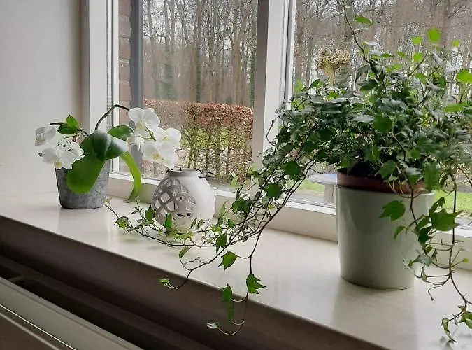 Klein Eikelenkamp Appartement