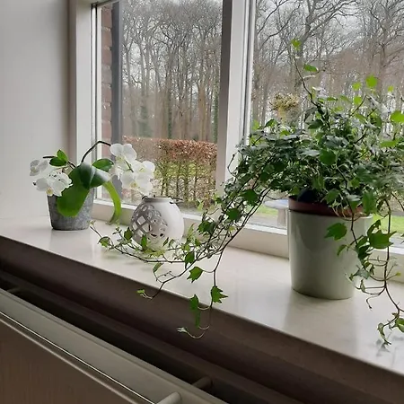 Klein Eikelenkamp Apartamento